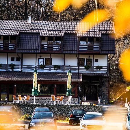 Hunter Vip Villa Reghin Dış mekan fotoğraf