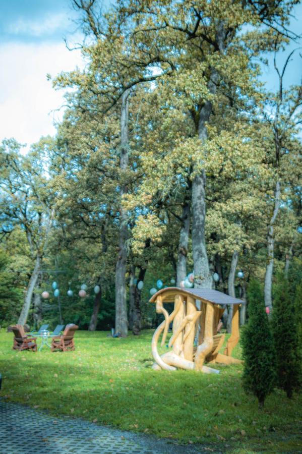 Hunter Vip Villa Reghin Dış mekan fotoğraf