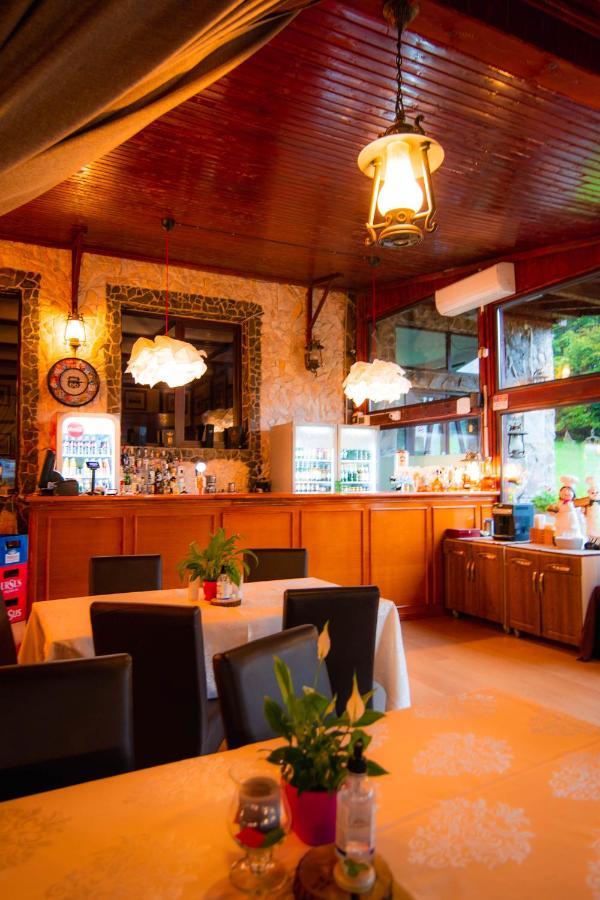 Hunter Vip Villa Reghin Dış mekan fotoğraf