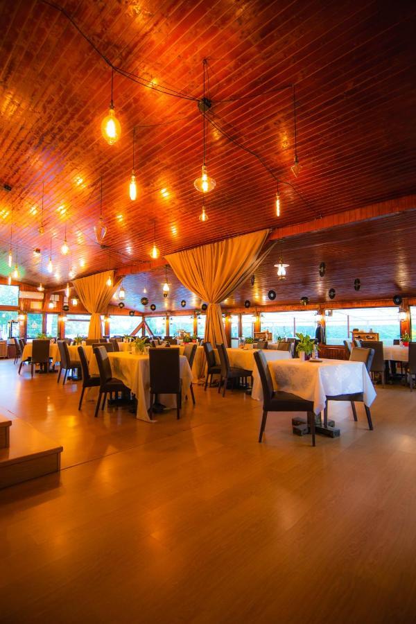 Hunter Vip Villa Reghin Dış mekan fotoğraf