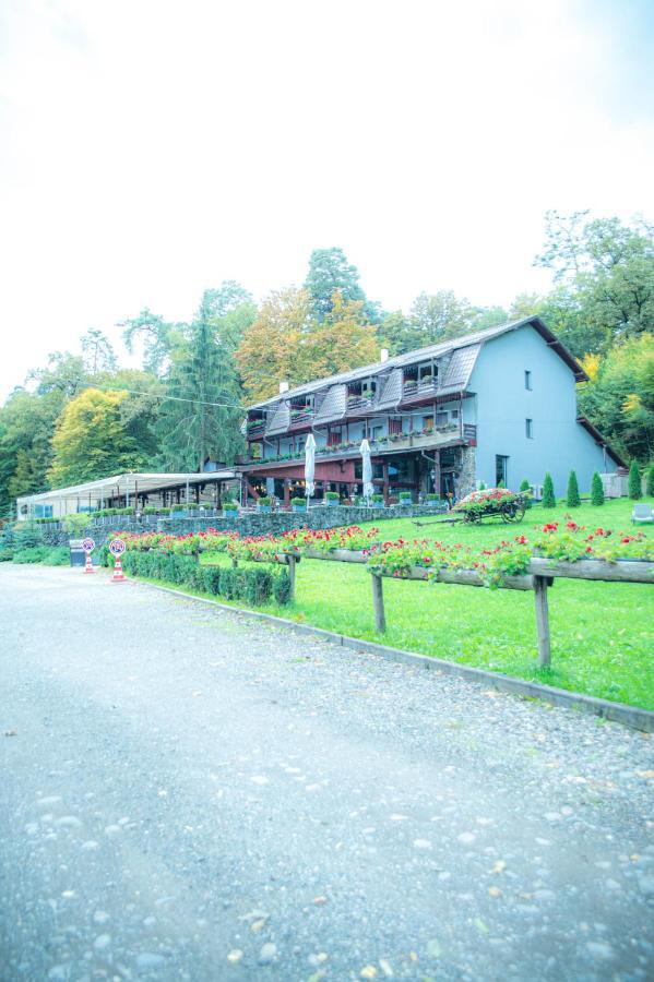 Hunter Vip Villa Reghin Dış mekan fotoğraf