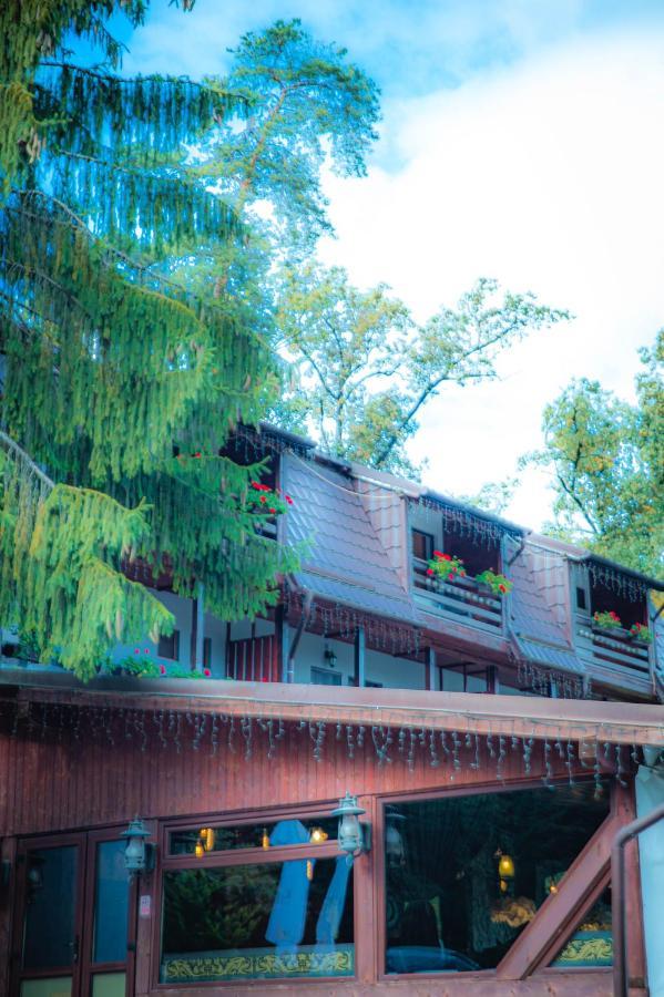 Hunter Vip Villa Reghin Dış mekan fotoğraf
