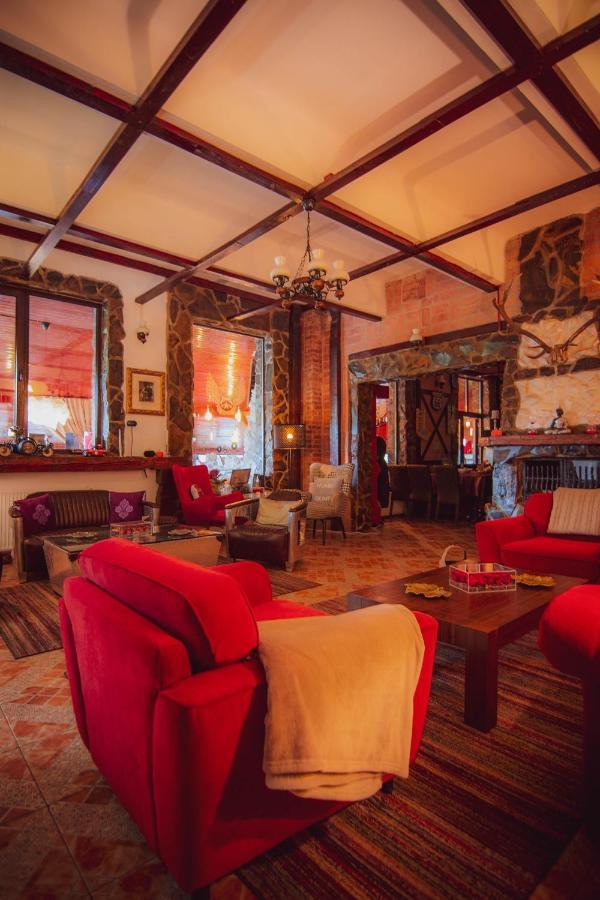 Hunter Vip Villa Reghin Dış mekan fotoğraf