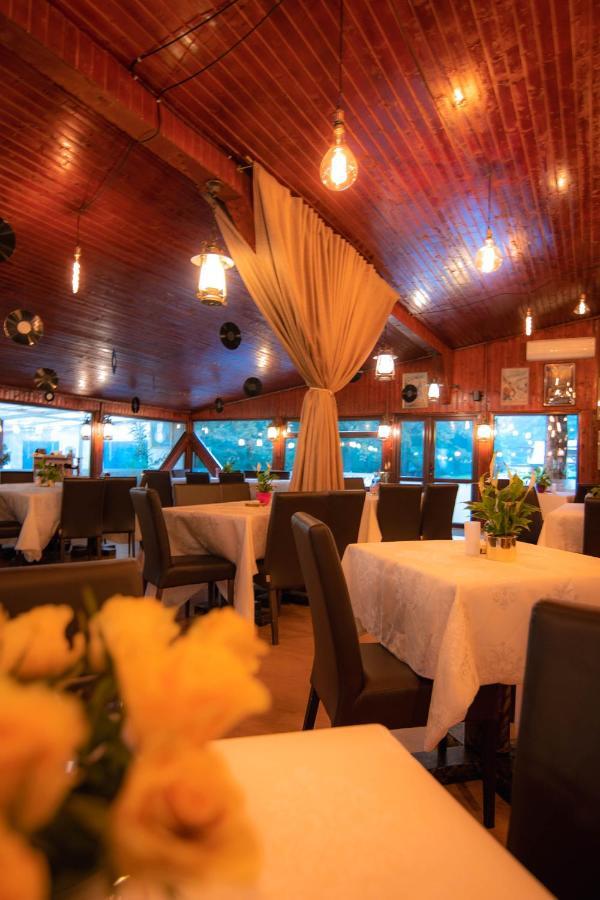 Hunter Vip Villa Reghin Dış mekan fotoğraf