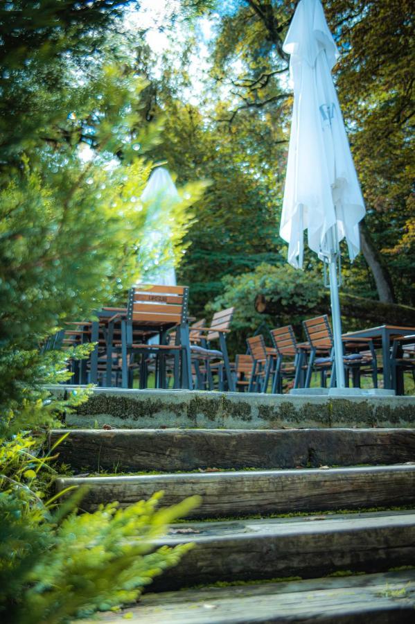 Hunter Vip Villa Reghin Dış mekan fotoğraf