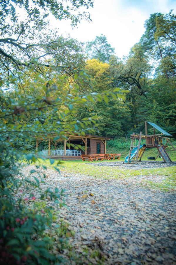 Hunter Vip Villa Reghin Dış mekan fotoğraf