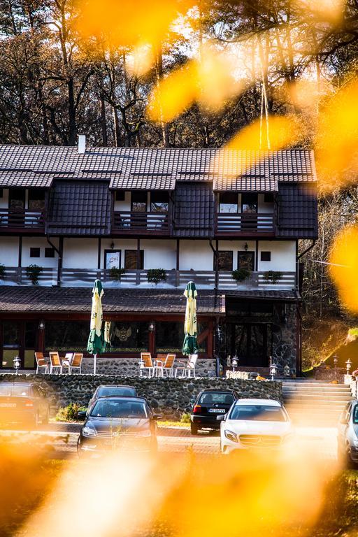 Hunter Vip Villa Reghin Dış mekan fotoğraf