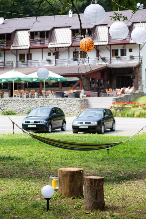 Hunter Vip Villa Reghin Dış mekan fotoğraf